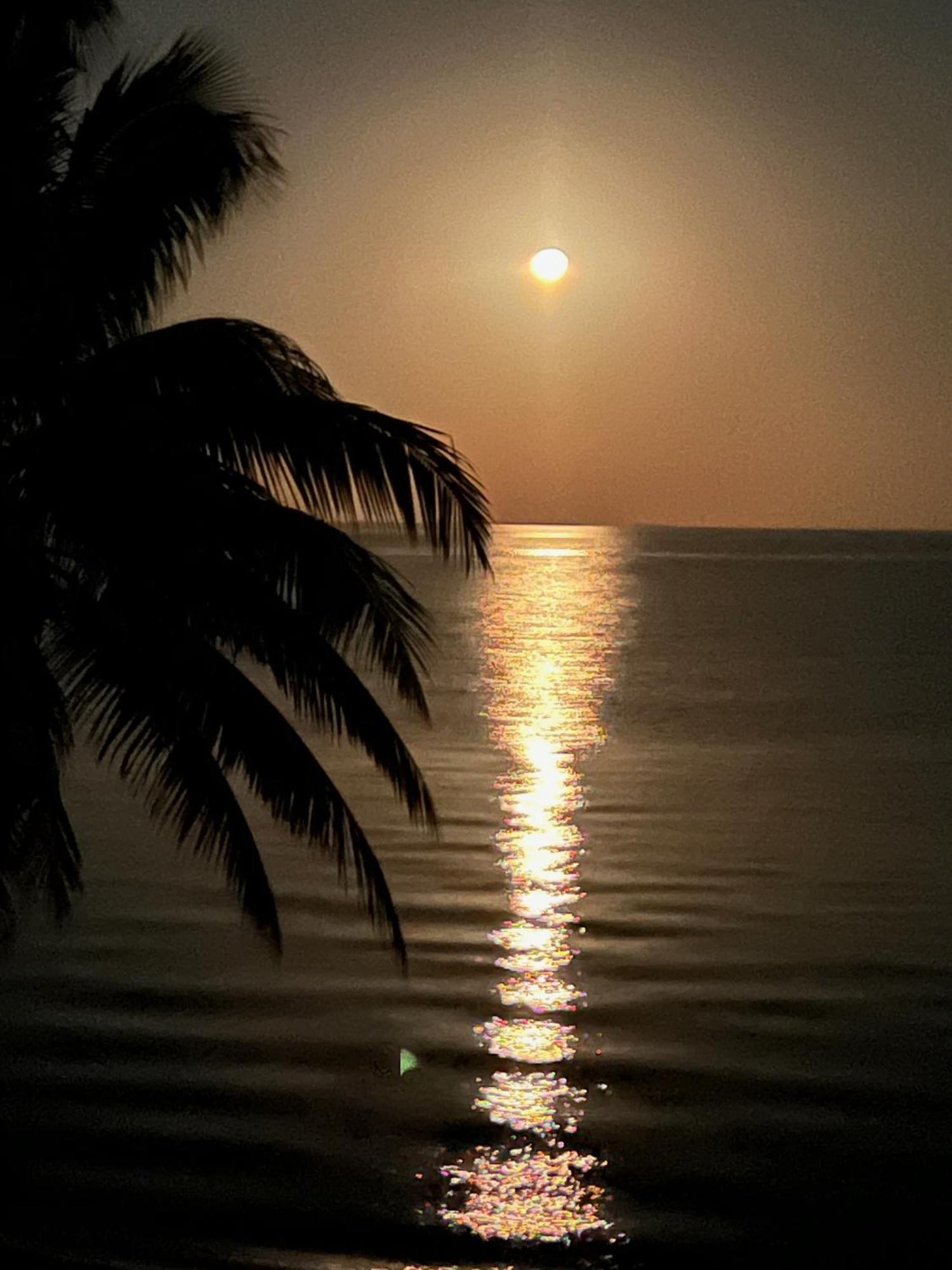 Bella Sway Belize Villa Maya Beach Luaran gambar